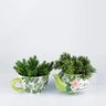 Cachepot Cerâmica Caneca Cup Green Leaves Urban - 4