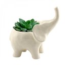 Ver imagem 1 de Cachepot Cerâmica Animals Elephant Urban