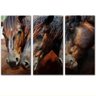 Quadro 3 Cavalos Kit 3 Peças - 4