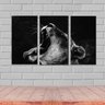 Quadro Decorativo Leão Preto No Branco 3 Peças - 3