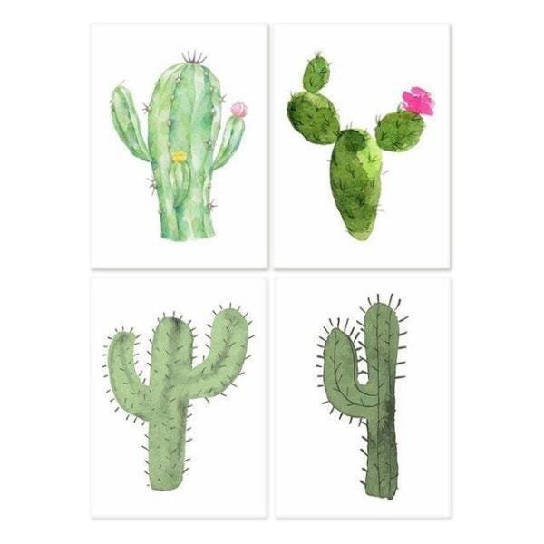 Quadro Cactos Suculentas Decorativo 22X30 - 1