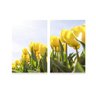 Conjunto 2 Quadros Flores Tulipas Amarelas decorativo Canvas - 1