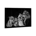 Ver imagem 1 de Quadro Lion Family Love -- Br Artes