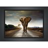 Quadro Decorativo Animais Elefante Salas Escritórios G05 - 4