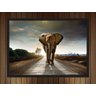 Quadro Decorativo Animais Elefante Salas Escritórios G05 - 2