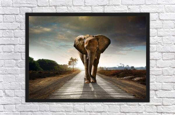 Quadro Decorativo Animais Elefante Salas Escritórios G05 - 3