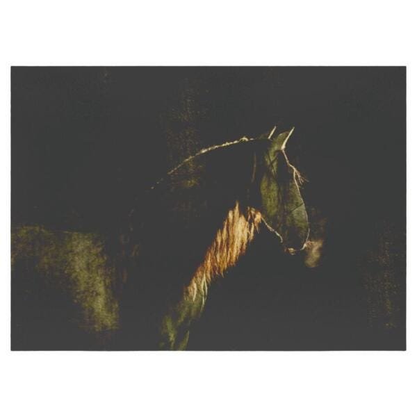 Quadro Trenddecor Animais 09 Borda Lisa 75X50Cm - 1