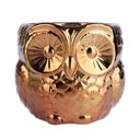 Ver imagem 1 de Cachepot Cerâmica Coruja Little Owl Urban