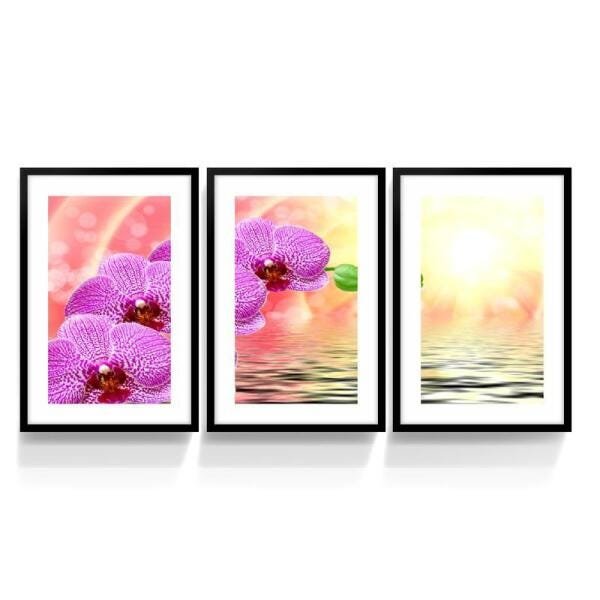 Conjunto 3 Quadros Flores Orquídeas Arte decorativo Moldura - 1