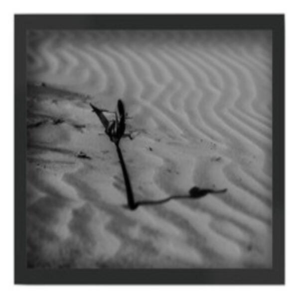 Quadro O Simples Das Coisas Ale Da Costa A3 - 1