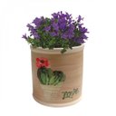 Ver imagem 1 de Cachepot Cerâmica Round Desert Cactus Urban