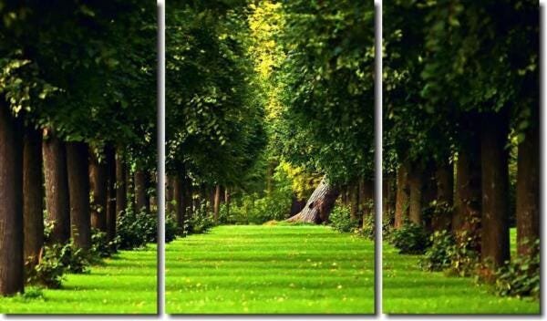 Quadro Decorativo Paisagem Floresta 3 Peças M3 - 3
