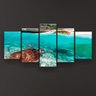 Quadro Decorativo Tartaruga Na Praia 129X61 5 Peças - 2