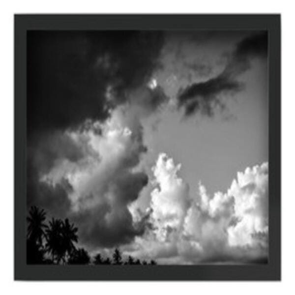 Quadro Decorativo Aquarela Ale Da Costa Tamanho A3 - 1