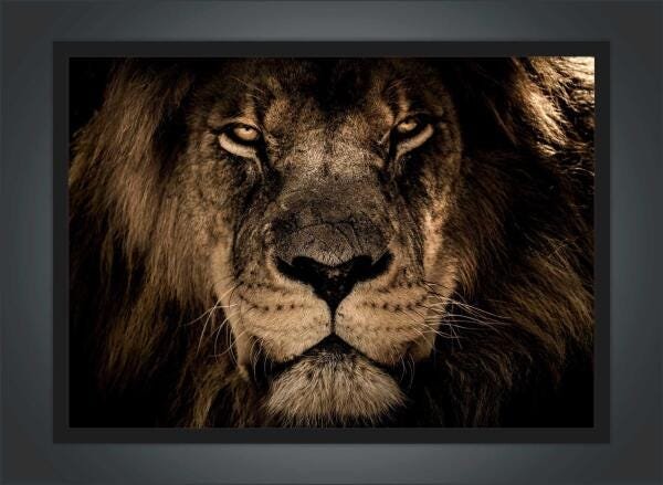 Quadro Decorativo Animais Leão Salas Escritórios G20 - 4