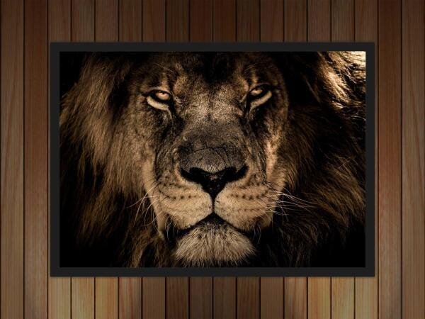 Quadro Decorativo Animais Leão Salas Escritórios G20 - 2