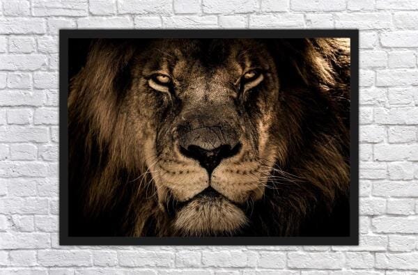 Quadro Decorativo Animais Leão Salas Escritórios G20 - 3