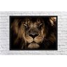 Quadro Decorativo Animais Leão Salas Escritórios G20 - 3