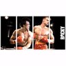 Quadro Rocky Balboa Filme Decorativo 130X65 - 1