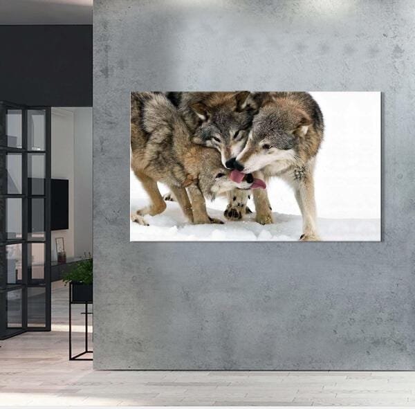 Quadro Decorativo Lobos Na Neve 1 Peça - 4