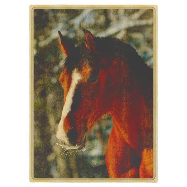 Quadro Trenddecor Animais04 Borda Em Rebaixo 75X50Cm - 1
