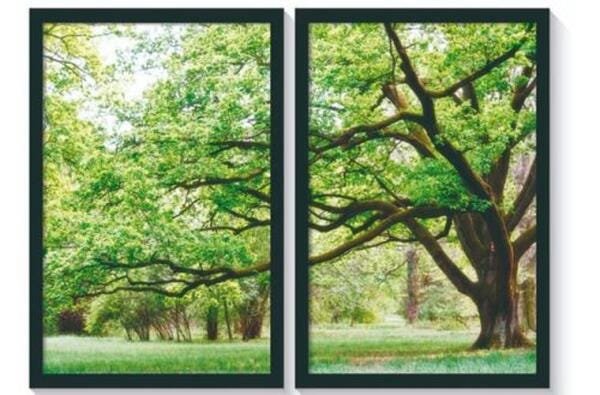 Quadro Decorativo Paisagem Florida Com Moldura 80X60 - 1