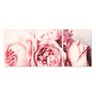 Quadro Peonias Rosas Decorativo 95X40 - 1