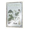 Quadro Espelhado Plant Science 60X40X3,5Cm - 1