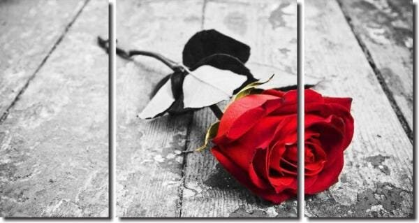 Quadro Decorativo Flor Rosa Vermelha 3 Peças - 1
