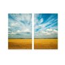 Conjunto 2 Quadros Paisagem do Campo Céu Azul em Canvas - 1