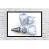 Quadro Profissão Dentista Odontologia Dentes Com Moldura G04 - 2