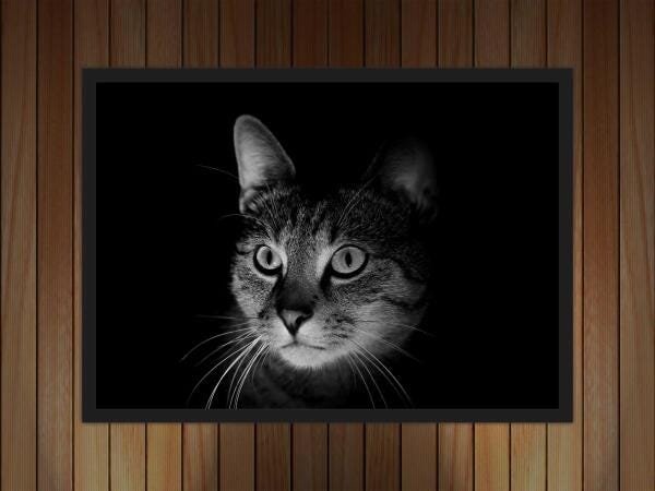 Quadro Decorativo Animais Gato Pet Shop Salas Decorações - 4