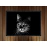 Quadro Decorativo Animais Gato Pet Shop Salas Decorações - 4