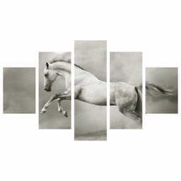 Quadro Cavalo Branco Animais Decorativo 114X65 - 1