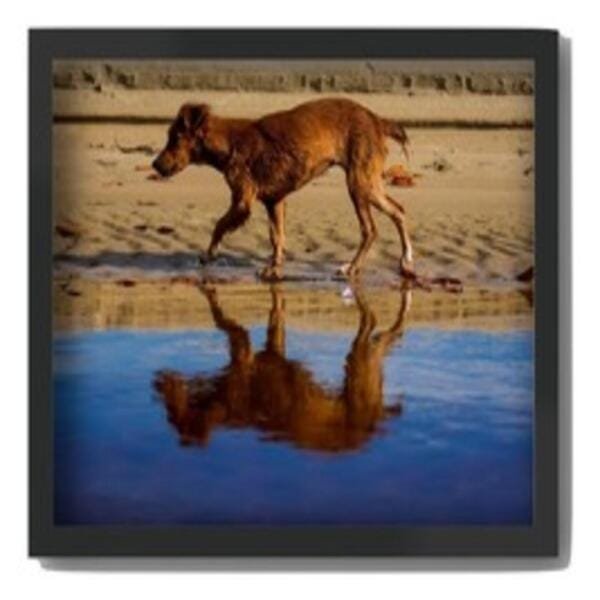 Quadro Decorativo Cachorro Ale Da Costa A3 - 1