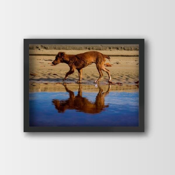 Quadro Decorativo Cachorro Ale Da Costa A3 - 2