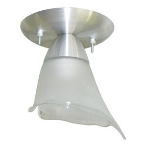 Lustre Plafon Com 01 Vidro Tulipa Para 01 Lâmpada - Ideal para Sala, Lavabo, banheiro, sala, quarto