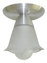 Ver imagem 2 de Lustre Plafon Com 01 Vidro Tulipa Para 01 Lâmpada - Ideal para Sala, Lavabo, banheiro, sala, quarto