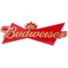 Quadro Laqueado De Bebida Budweiser Tam G - 28X83Cm - 1