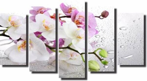 Quadro Decorativo Galho De Orquídea 5 Peças Para Sala - 1