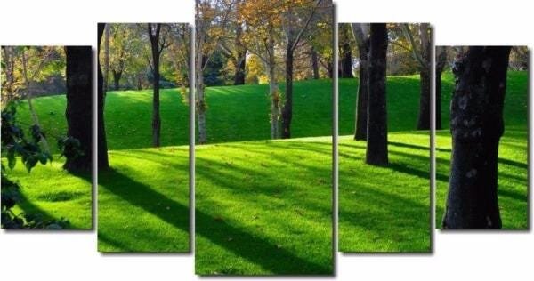 Quadro Decorativo Paisagem Bosque 5 Peças - 1