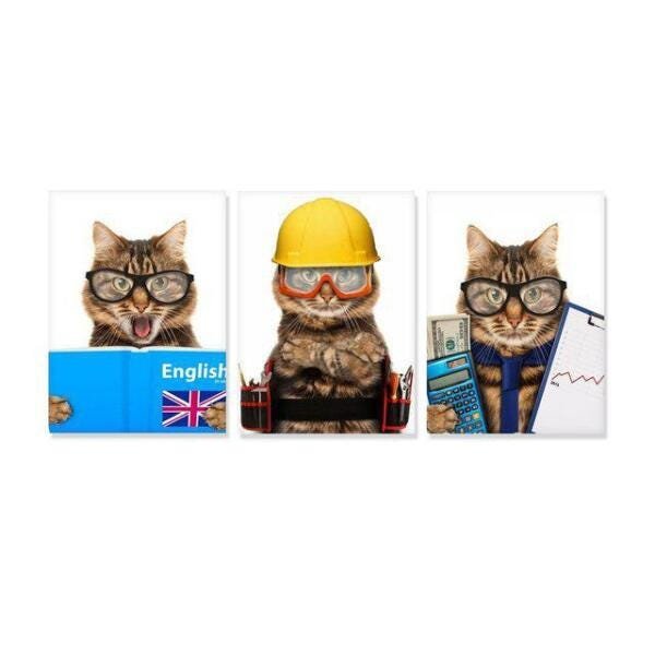 Quadros Gatos Profissoes Pets decorativos 3 unidades 40x50 - 1