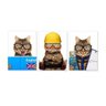 Quadros Gatos Profissoes Pets decorativos 3 unidades 40x50 - 1