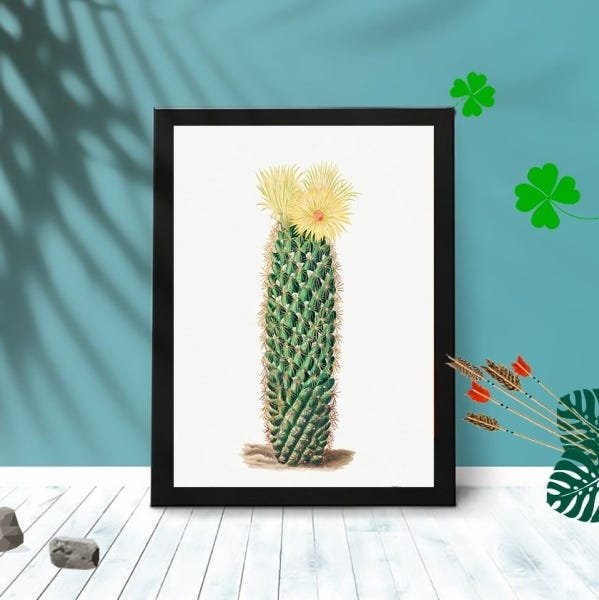 Quadro Decorativo Flor Do Deserto com Moldura e Vidro Quarto:Preto - 1