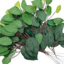 Ver imagem 1 de 24 Galhos Decoração Arranjo Fícus Artificial Planta Decorativa 42cm