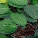 Ver imagem 2 de 24 Galhos Decoração Arranjo Fícus Artificial Planta Decorativa 42cm
