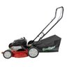 Cortador Grama à Gasolina GARTHEN GR-6500C Motor 6.5HP BRIGGS & STRATTON Roda Alta e Recolhedor - 5