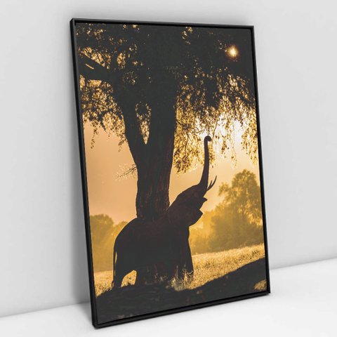 Quadro Decorativo em Canvas Elefante e a Árvore ao Amanhecer - Moldura Preta - 120 x 80cm