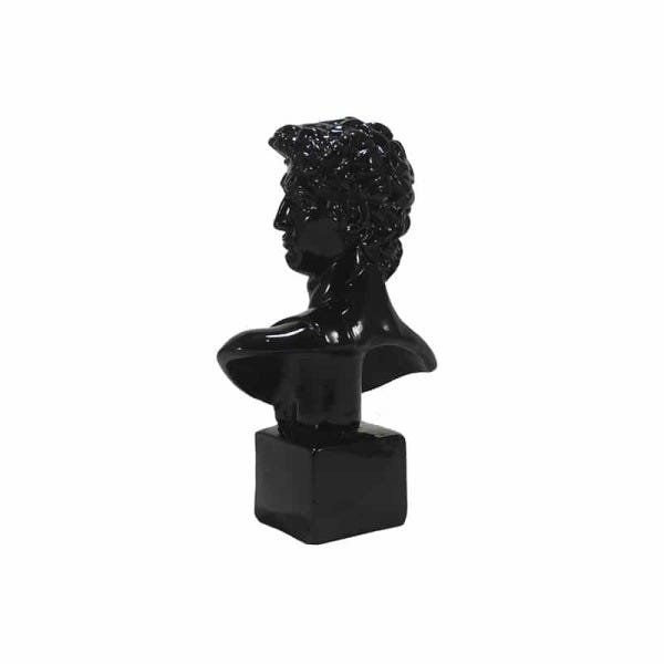 Escultura Estátua Busto de Davi Preto - 3