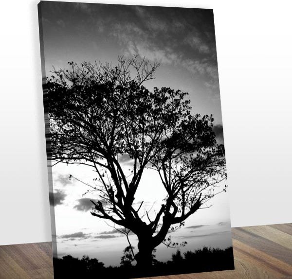 Quadro Decorativo Àrvore Pb Midiapoparte 75x100cm para Salas, Escritórios e Escritórios - 3